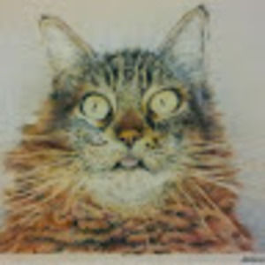 Meet your Posher, Lynn